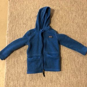 Toddler Patagonia royal blue fleece.